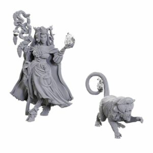 D&D fígúrur CR Fearne Calloway & Mister