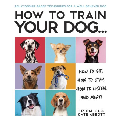 How to Train Your Dog: A Relationship-Based Approach for a Well-Behaved Dog