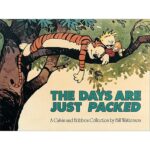 Calvin And Hobbes: The Days Are Just Packed