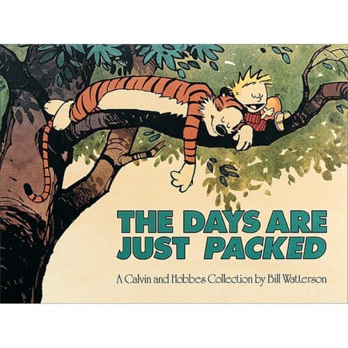 Calvin And Hobbes: The Days Are Just Packed