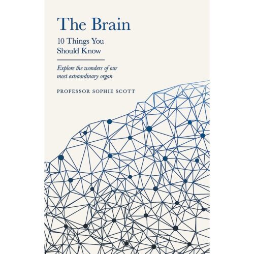 The Brain: 10 Things You Should Know
