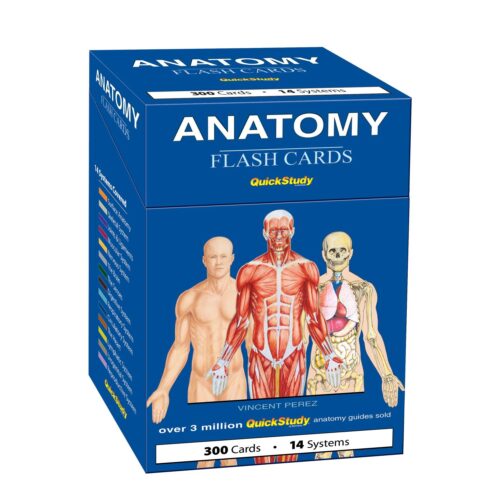 Anatomy Flash Cards