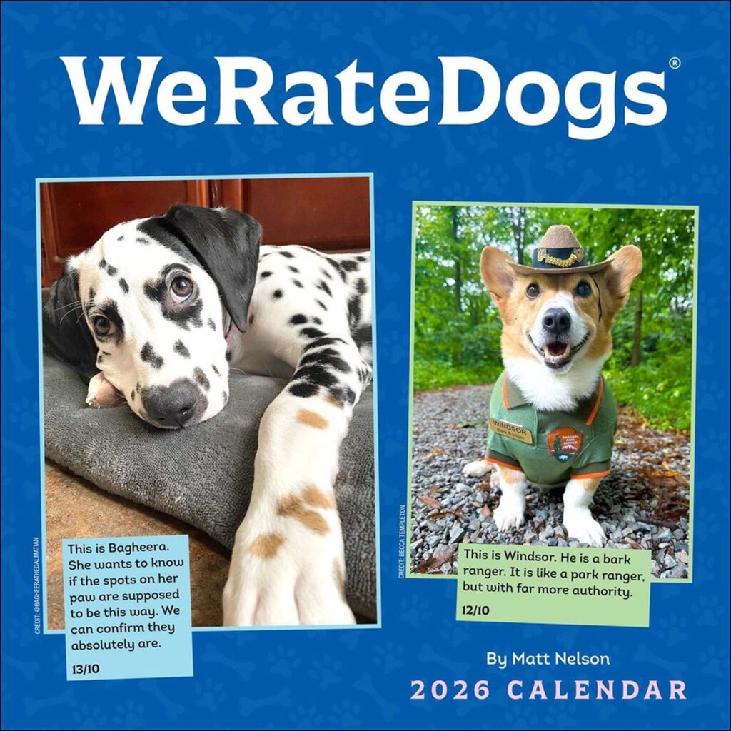 We Rate Dogs veggdagatal 2026