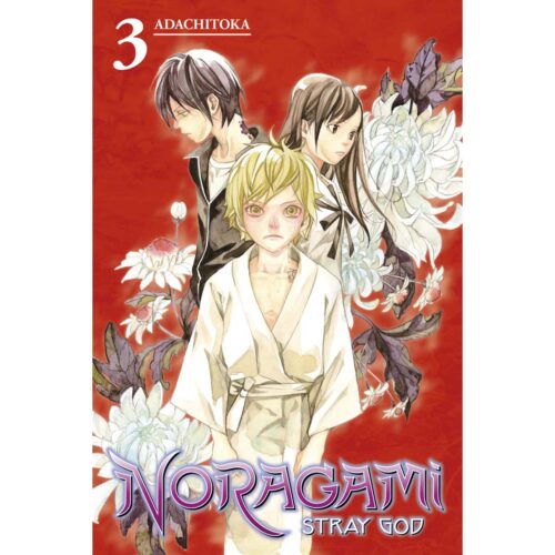 Noragami Stray God Vol 03