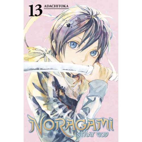 Noragami Stray God Vol 13
