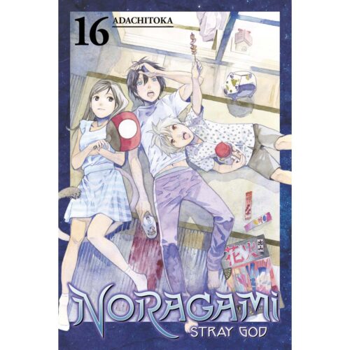 Noragami Stray God Vol 16