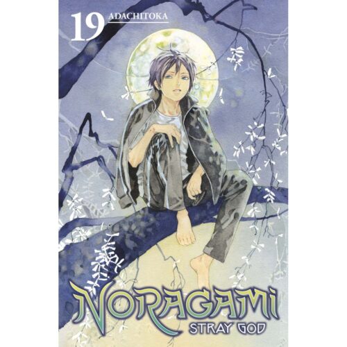Noragami Stray God Vol 19