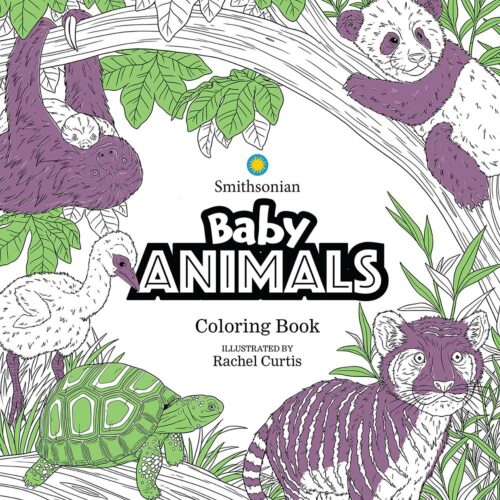 Baby Animals Coloring Book