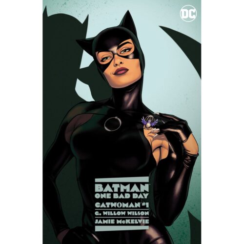 Batman: One Bad Day - Catwoman