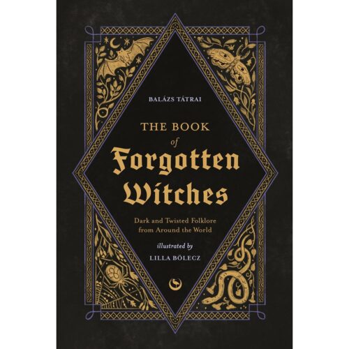 The Book of Forgotten Witches