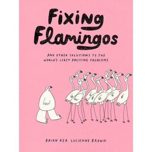 Fixing Flamingoes: And other solutions to the worlds least pressing problems