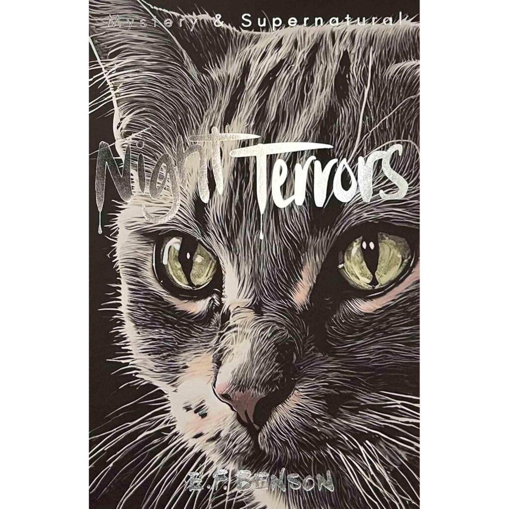 Night Terrors: the Ghost Stories of E.F. Benson (Tales of Mystery & the Supernatural)