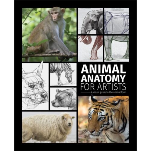 Animal Anatomy for Artists:  A visual guide to the animal form