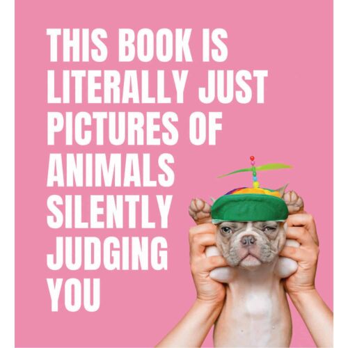 This Book is Literally Just Pictures of Animals Silently Judging You
