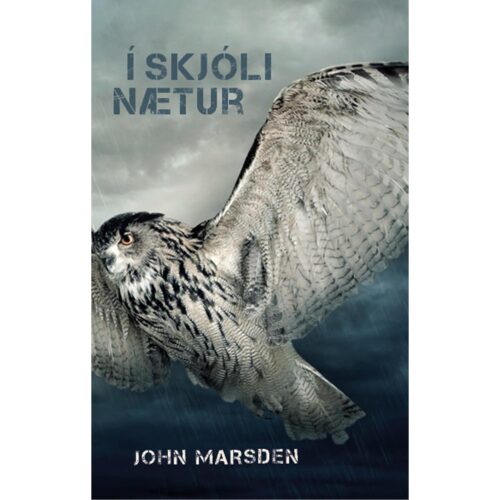 Í skjóli nætur (Á morgun, þegar stríðið hófst 2)