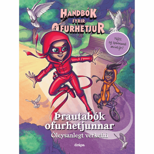 Handbók fyrir ofurhetjur Þrautabók ofurhetjunnar 2