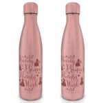 Disney Princess - Thirsty Work Metal Drinks Bottle