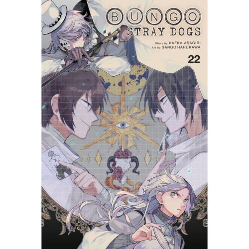 Bungo Stray Dogs Gn Vol 22