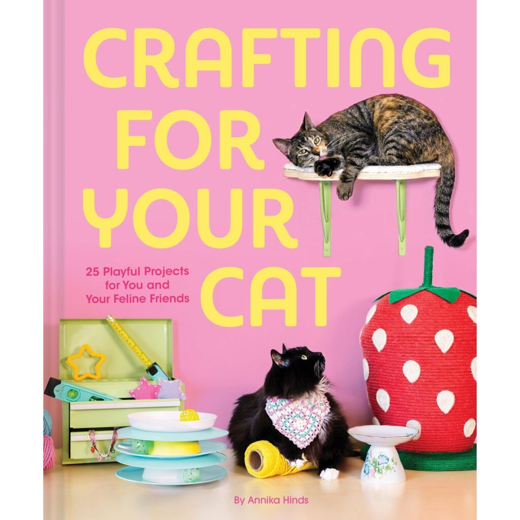 Crafting For Your Cat