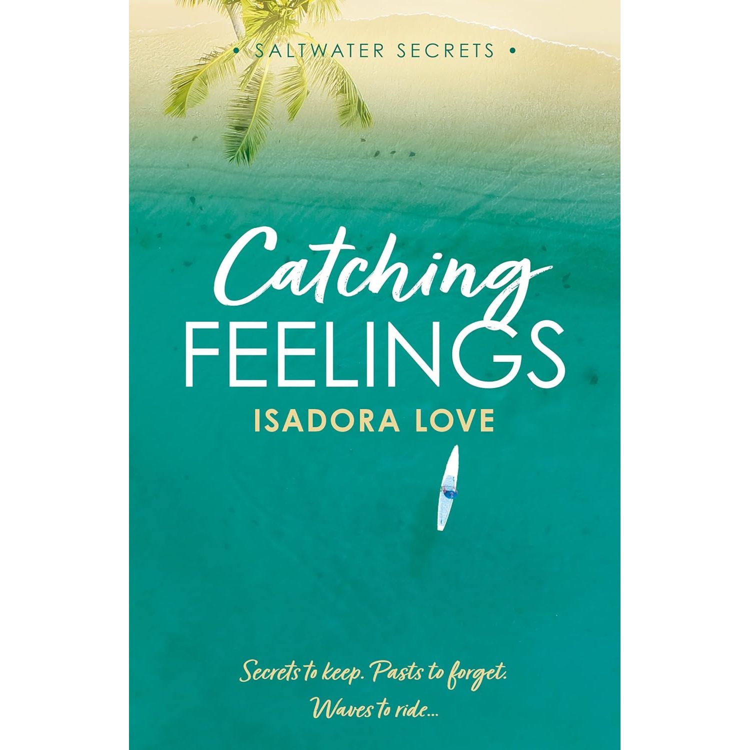 Catching Feelings (Saltwater Secrets 1)